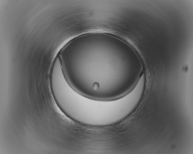 X0000115321476200911161733