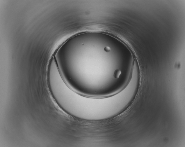 X0000115321477200911161733