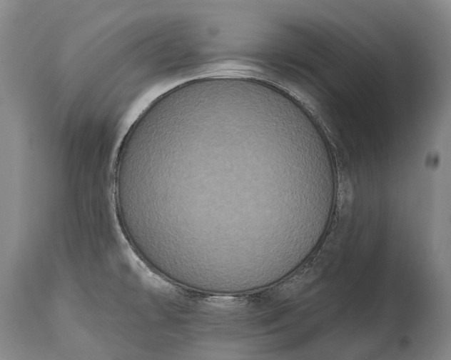 X0000115321478200911161733