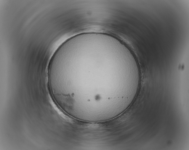 X0000115321479200911161733