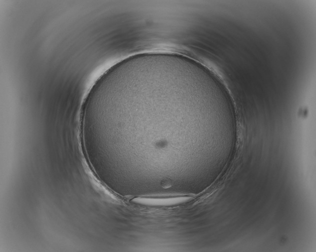 X0000115321480200911161733