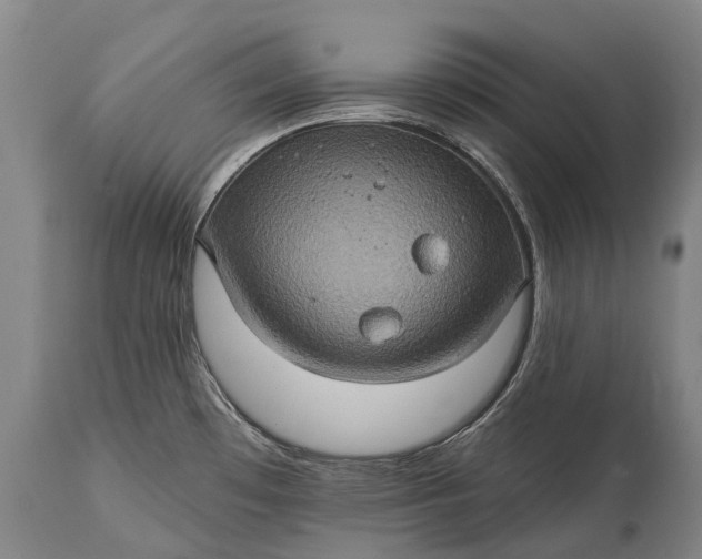 X0000115321481200911161733