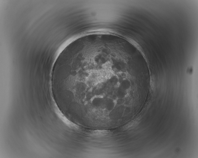 X0000115321482200911161733