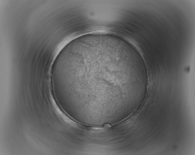 X0000115321483200911161733