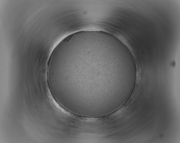 X0000115321484200911161733