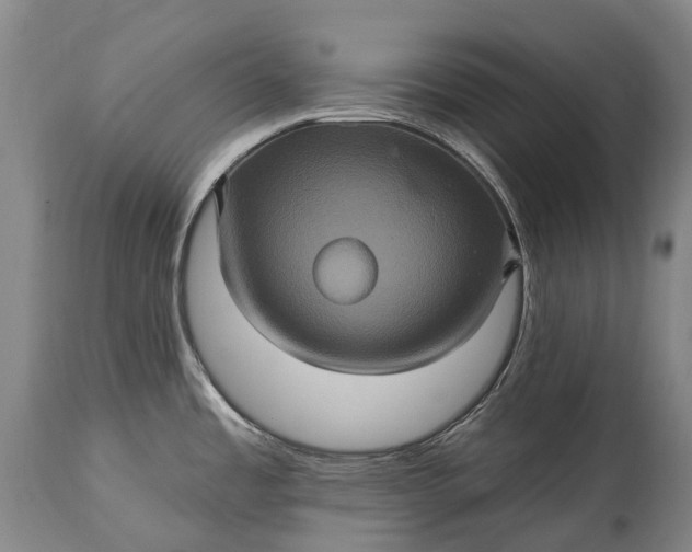 X0000115321485200911161733