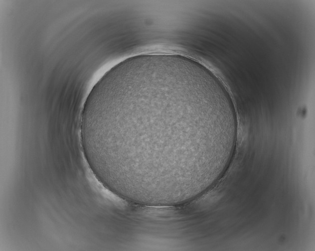 X0000115321486200911161733