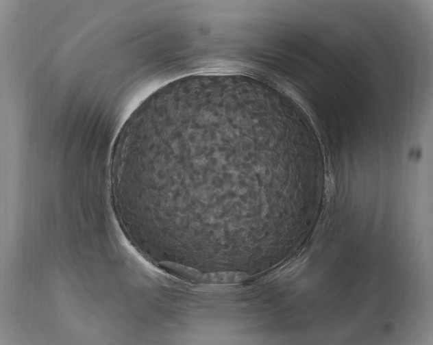 X0000115321487200911161733