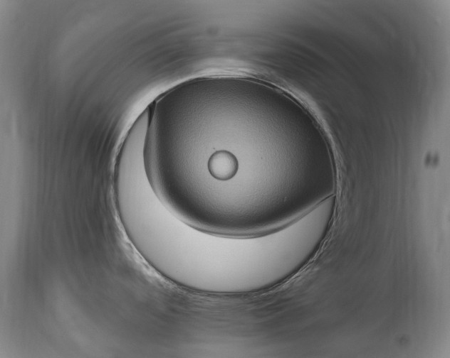 X0000115321488200911161733