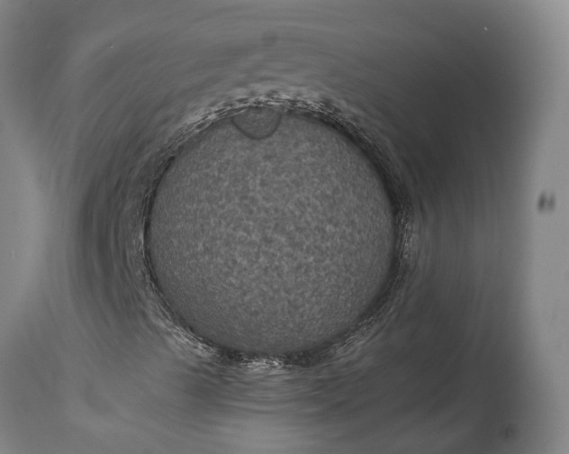 X0000115321489200911161733