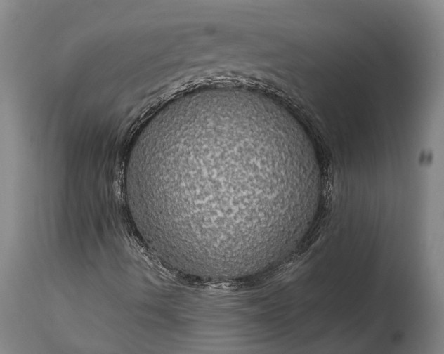 X0000115321490200911161733