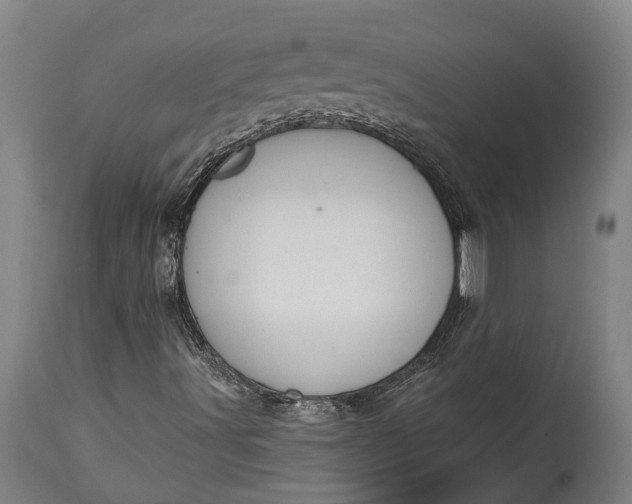 X0000115321491200911161733