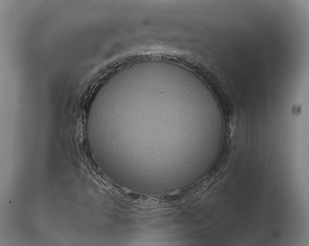 X0000115321493200911161733