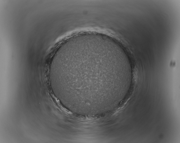 X0000115321494200911161733