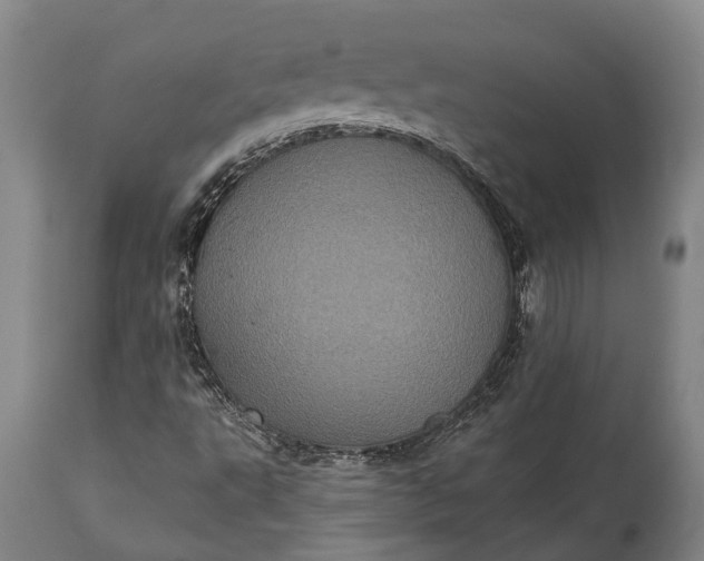 X0000115321495200911161733