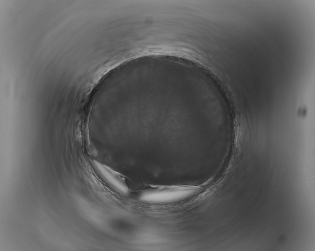 X0000115321497200911161733