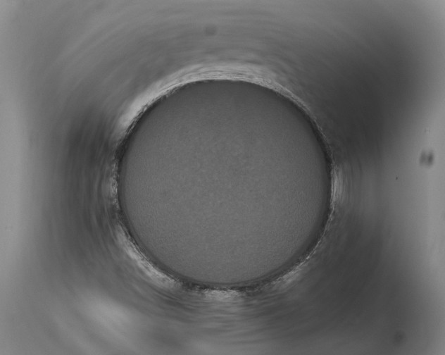 X0000115321498200911161733