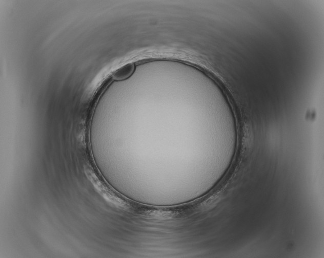 X0000115321499200911161733