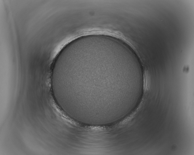 X0000115321501200911161733