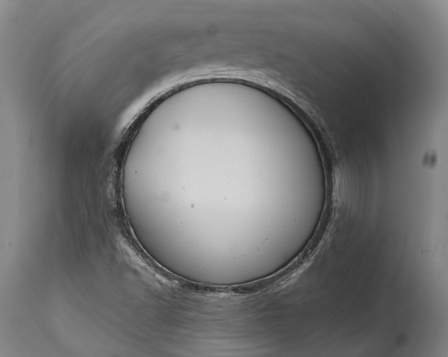 X0000115321502200911161733