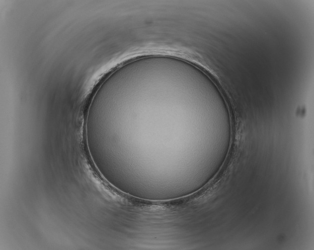 X0000115321507200911161733