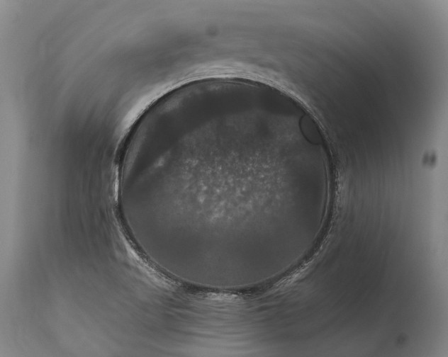 X0000115321509200911161733