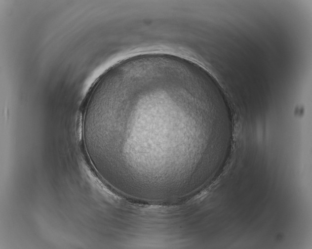 X0000115321510200911161733