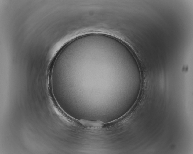 X0000115321511200911161733