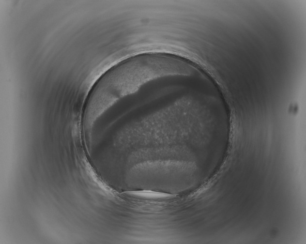 X0000115321513200911161733