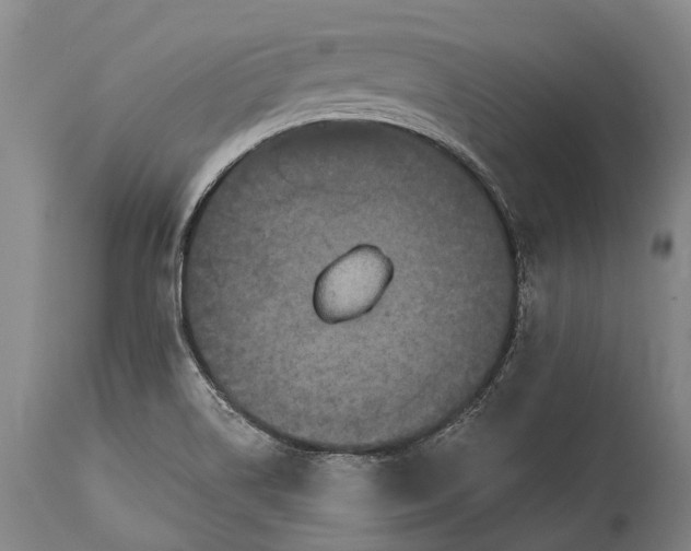 X0000115321514200911161733