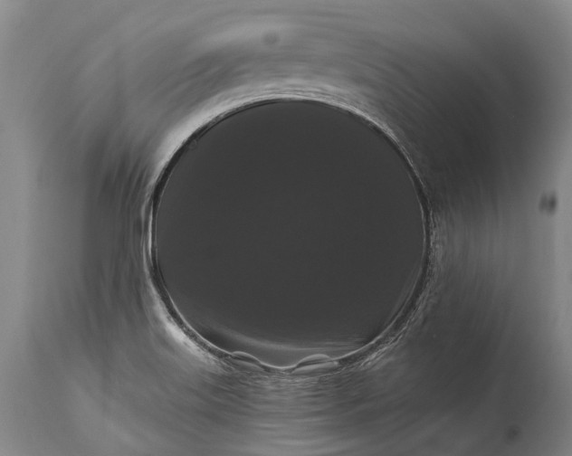 X0000115321515200911161733