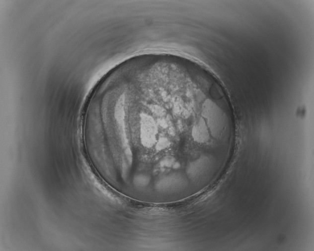 X0000115321517200911161733