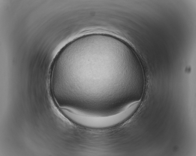 X0000115321518200911161733