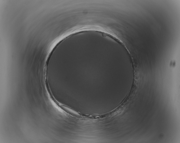 X0000115321519200911161733