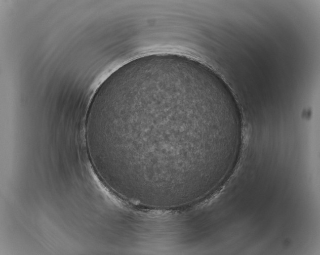 X0000115321521200911161733