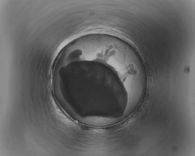 X0000115321522200911161733