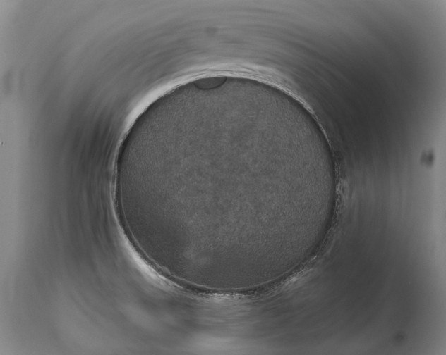 X0000115321523200911161733