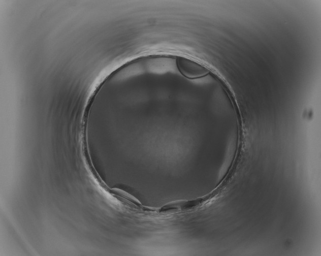 X0000115321525200911161733