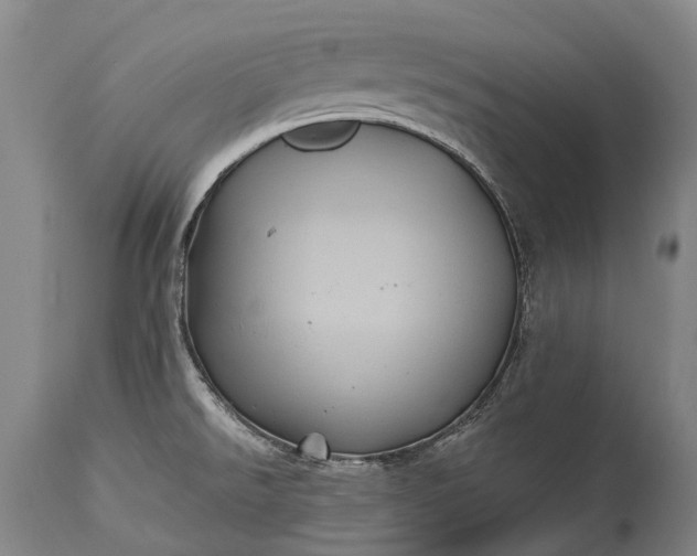 X0000115321526200911161733