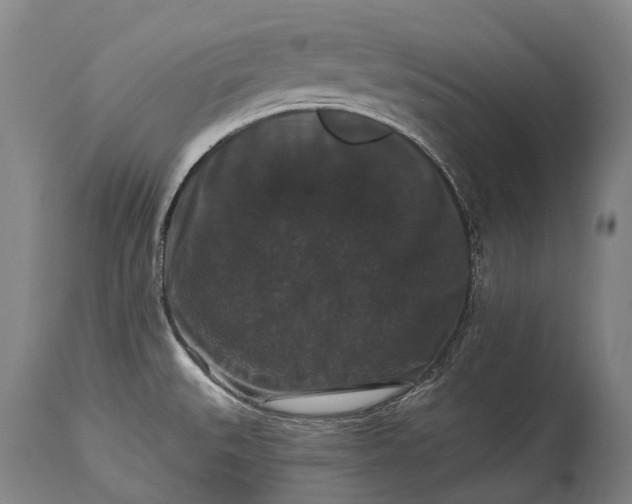 X0000115321527200911161733