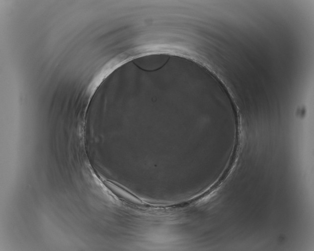 X0000115321529200911161733