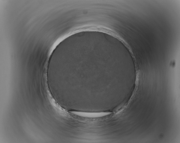 X0000115321530200911161733