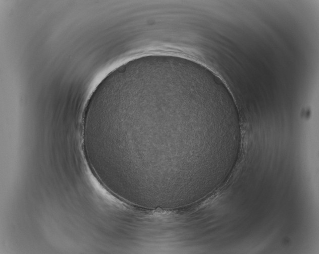 X0000115321531200911161733