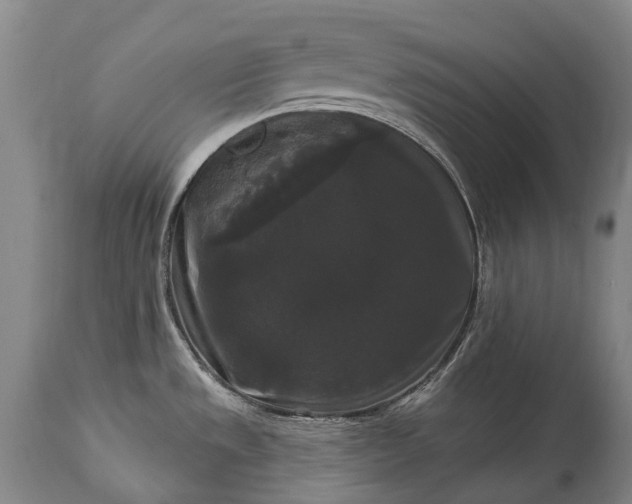 X0000115321533200911161733