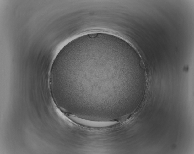 X0000115321535200911161733