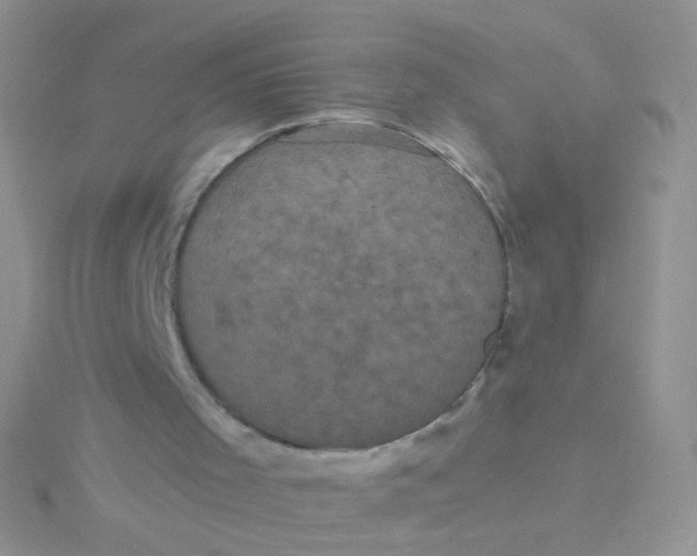 X0000115320001200911231400