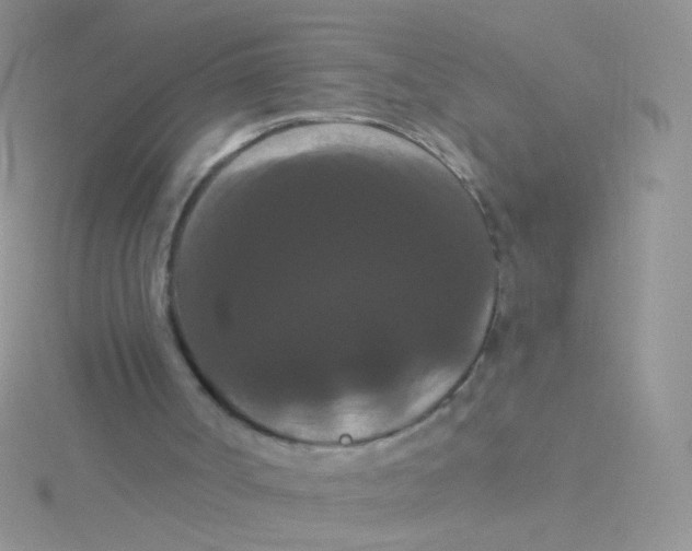 X0000115320002200911231400