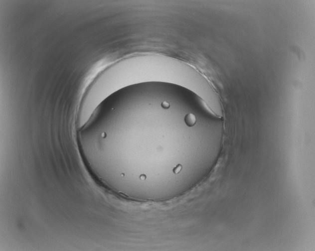 X0000115320003200911231400