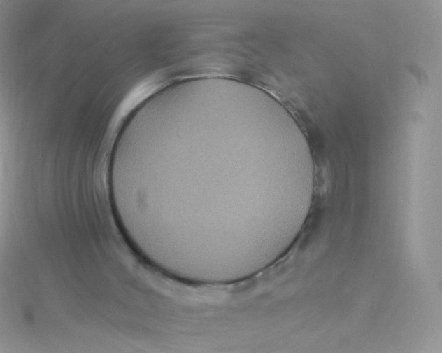 X0000115320004200911231400