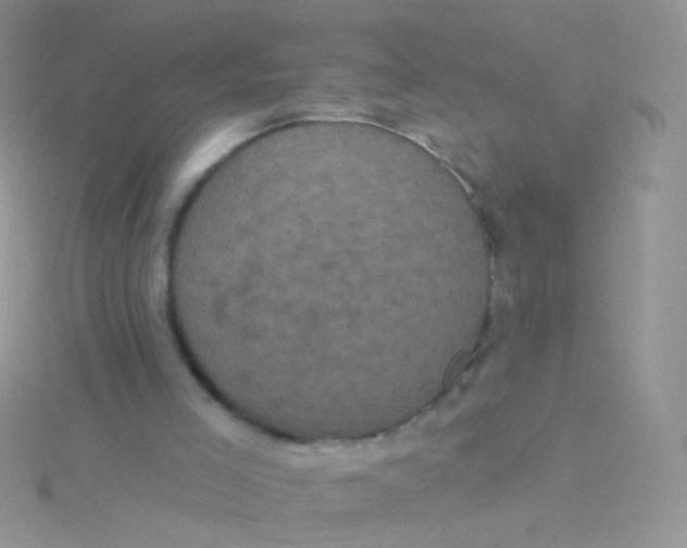 X0000115320005200911231400